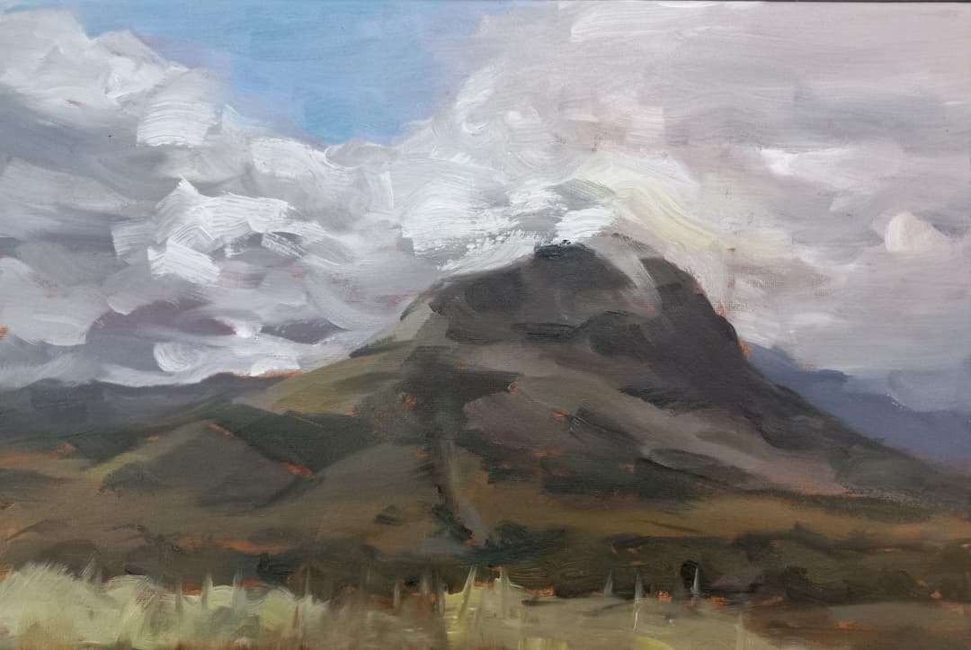 Helderberg, Paardevlei, oil on canvas, 2022