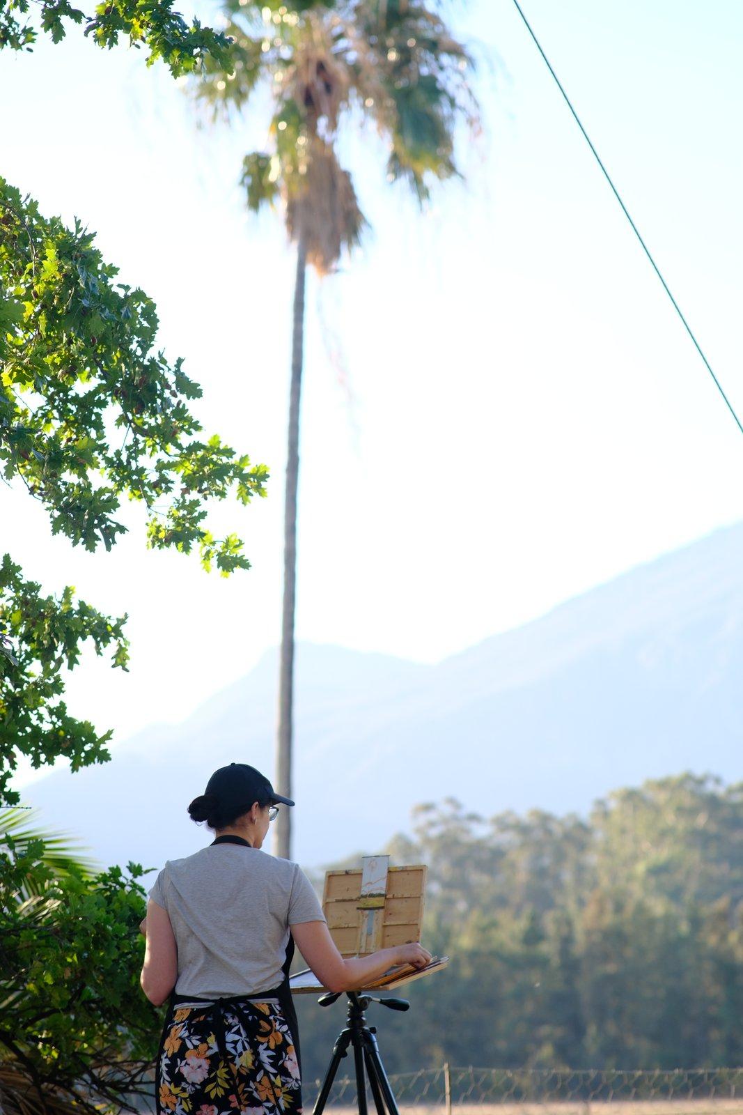 Painting outdoors beside palm trees with mountains in the distance